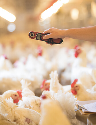 金狮贵宾会·宾至如归-尊贵显赫