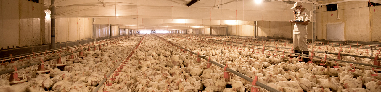 金狮贵宾会·宾至如归-尊贵显赫