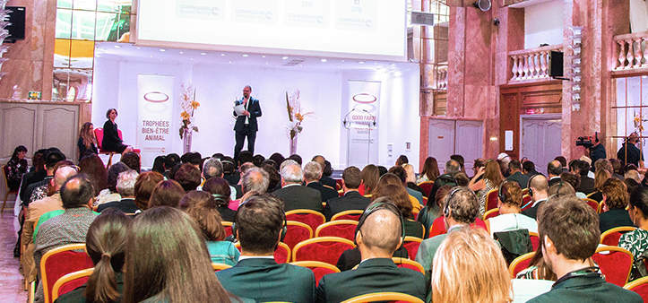 金狮贵宾会·宾至如归-尊贵显赫