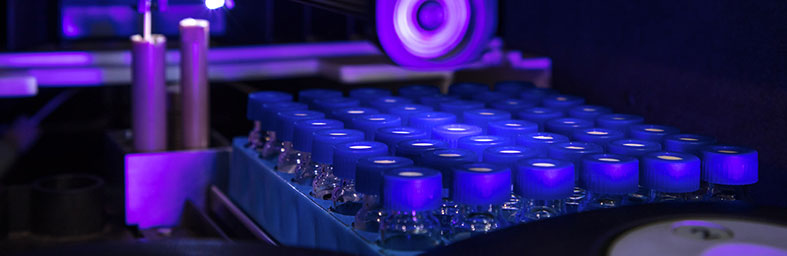 金狮贵宾会·宾至如归-尊贵显赫