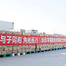 金狮贵宾会·宾至如归-尊贵显赫