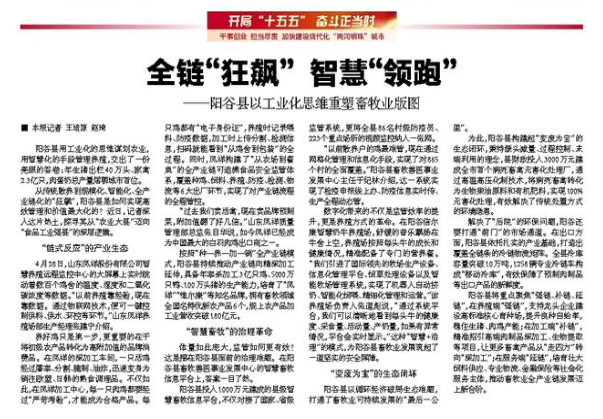 金狮贵宾会·宾至如归-尊贵显赫