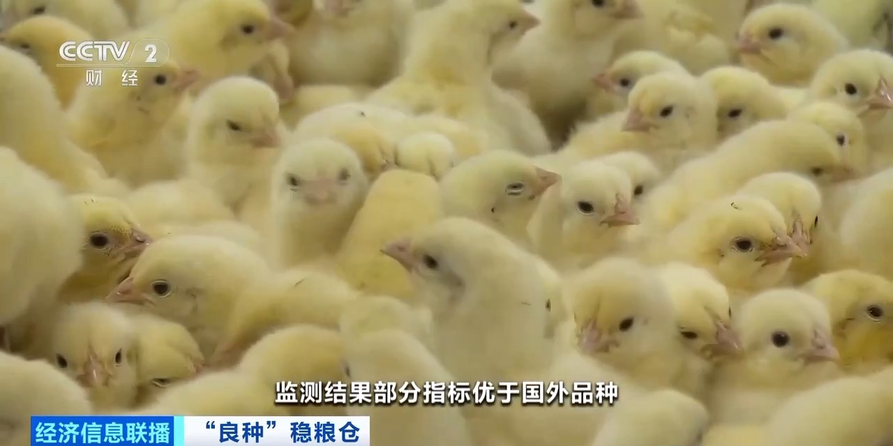 20260408094152_46030 金狮贵宾会·宾至如归-尊贵显赫
