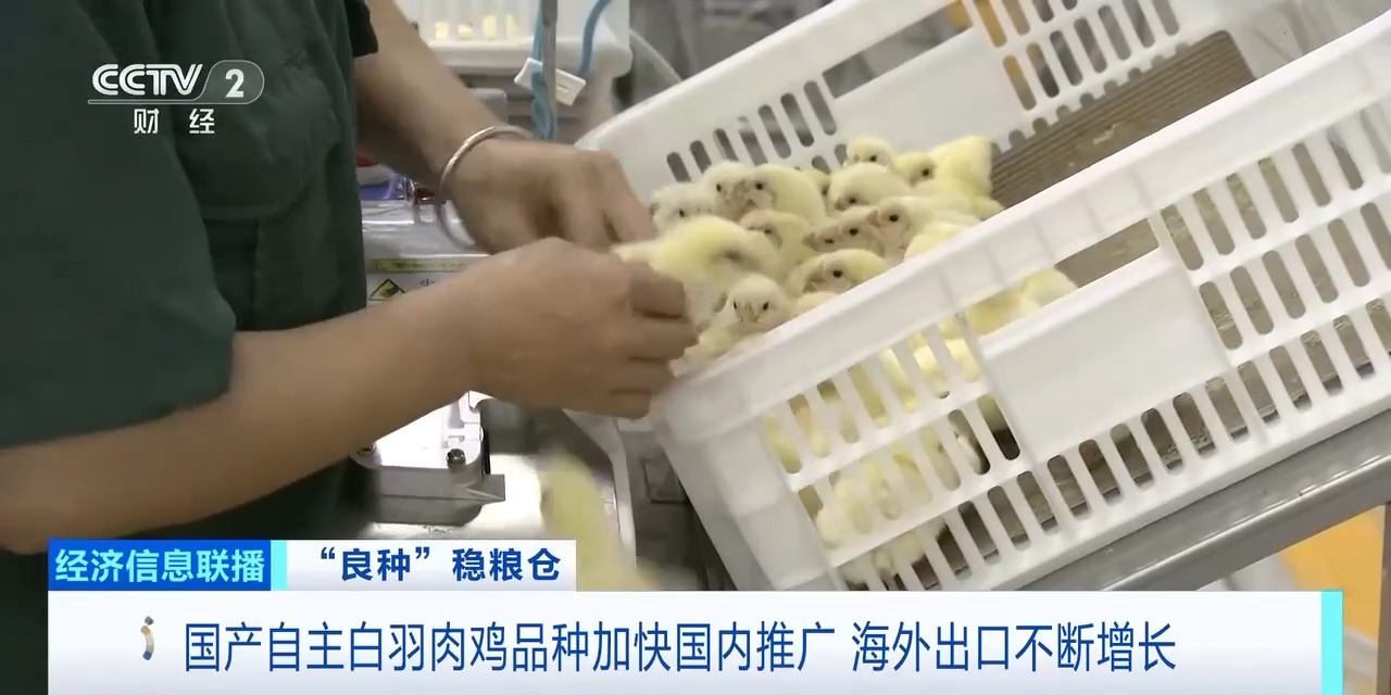 20260408094220_95222 金狮贵宾会·宾至如归-尊贵显赫